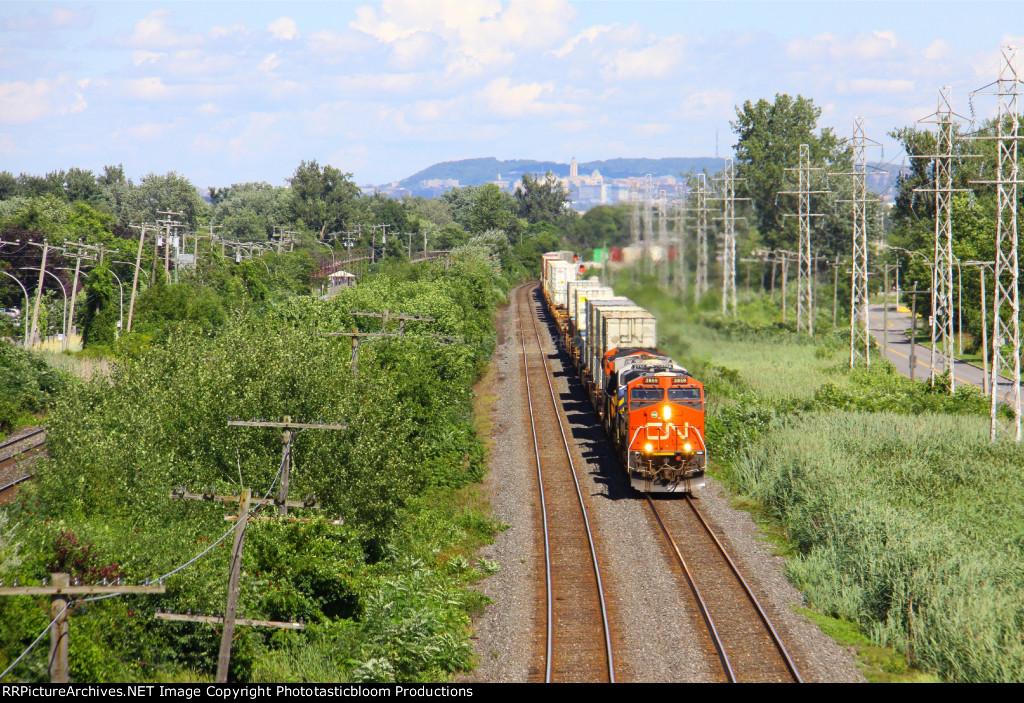 CN 3859